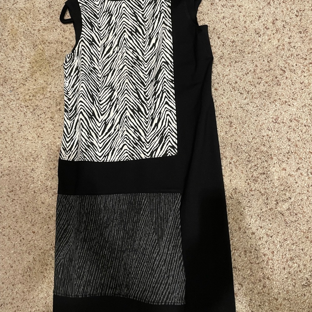 Ann Taylor animal print shift dress XSP